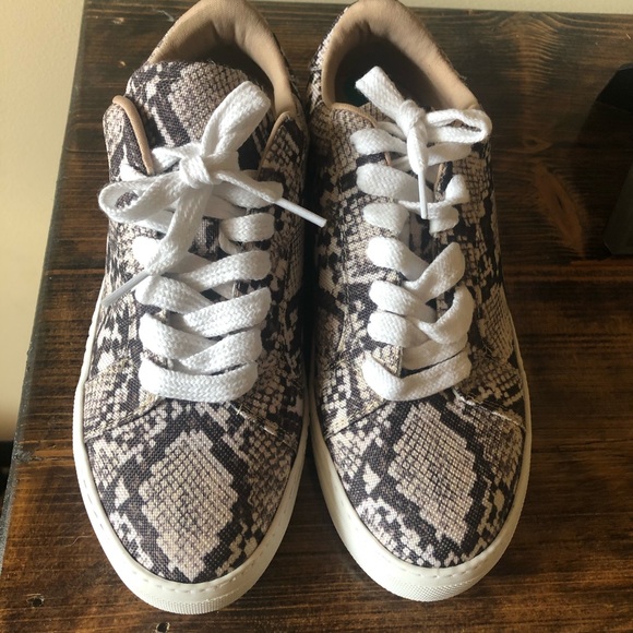 NEW Steve Madden snakeskin print sneakers. - Picture 2 of 5
